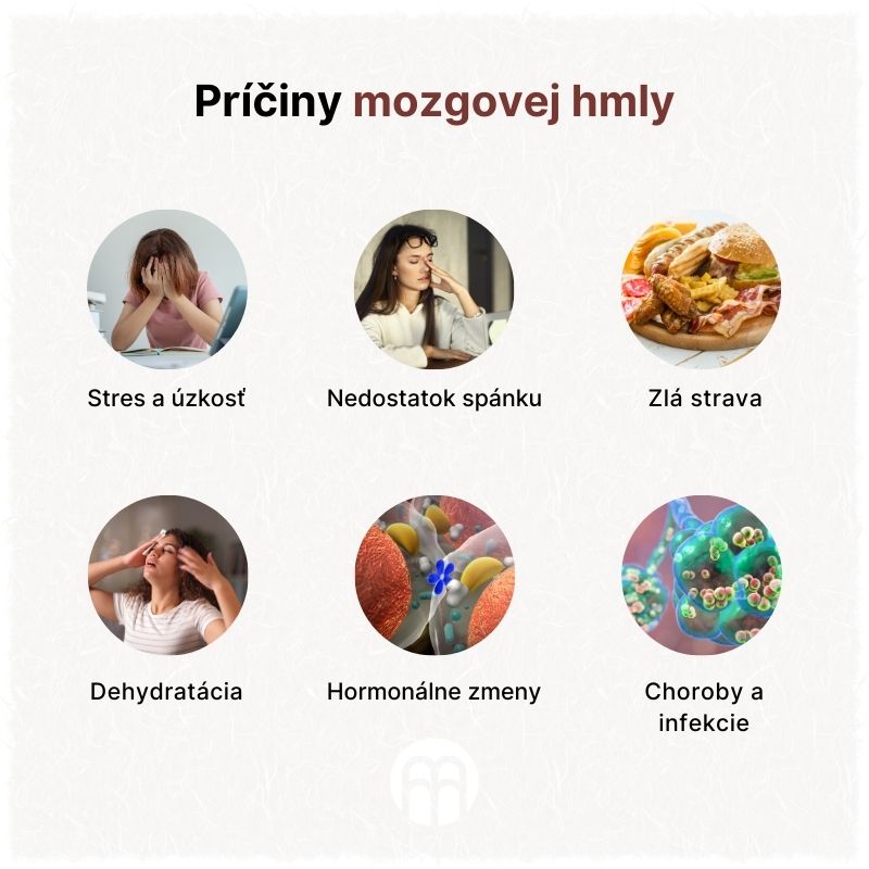 (Slovenčina) Příčiny mozkové mlhy (1)